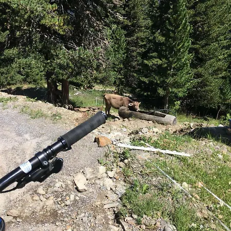 Alpenspirit Apartamento